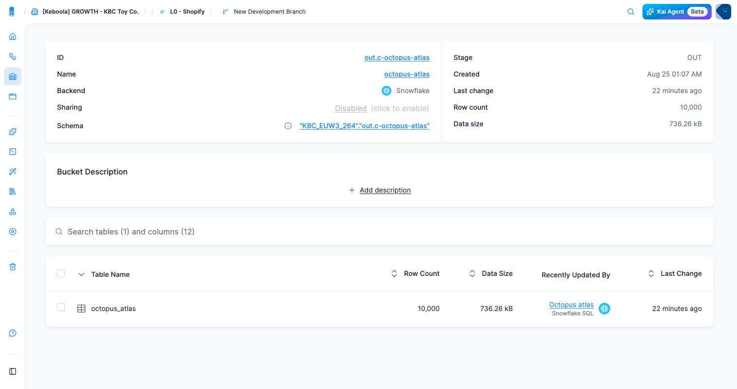 Screenshot - The new table in Storage